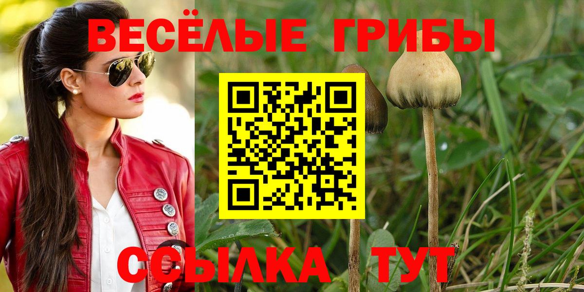 Ярцево  Галлюциногенные грибы GOLDEN TEACHER  Вход с VPN 
